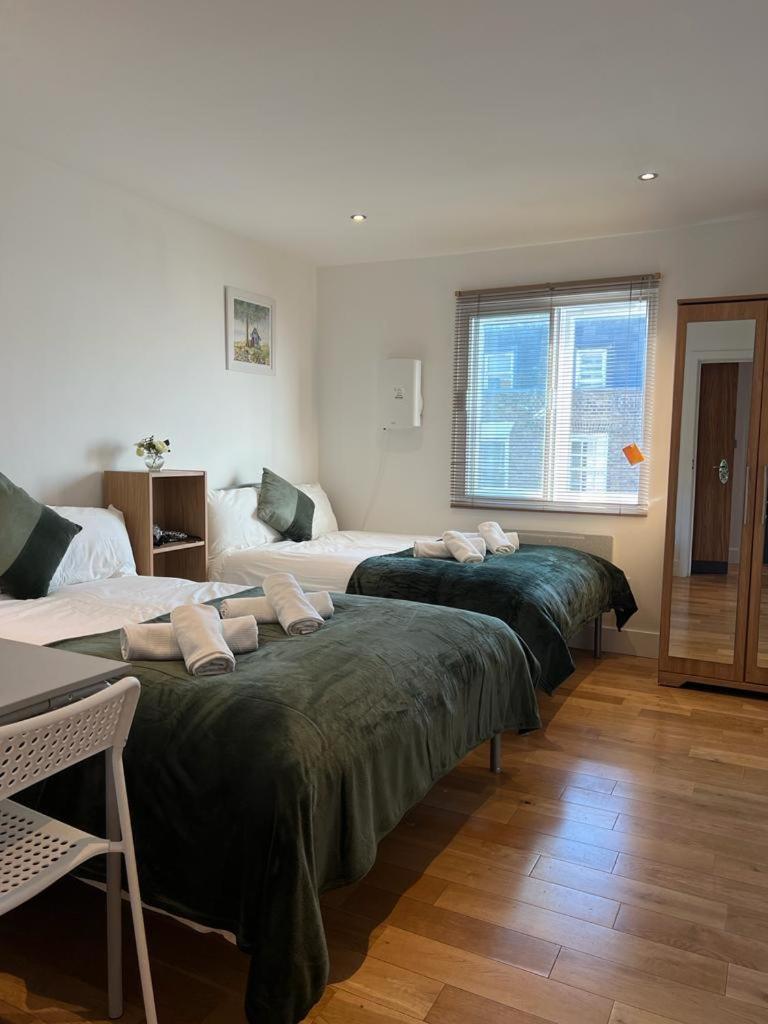 Cosy Private Rooms Near Euston Station, Central Londra Dış mekan fotoğraf