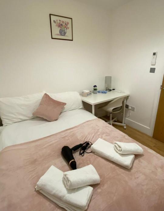 Cosy Private Rooms Near Euston Station, Central Londra Dış mekan fotoğraf